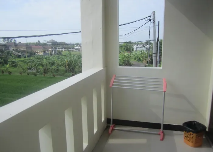Guest house Orangedacha Canggu (Bali)