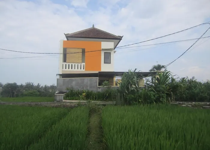 Guest house Orangedacha Canggu (Bali)